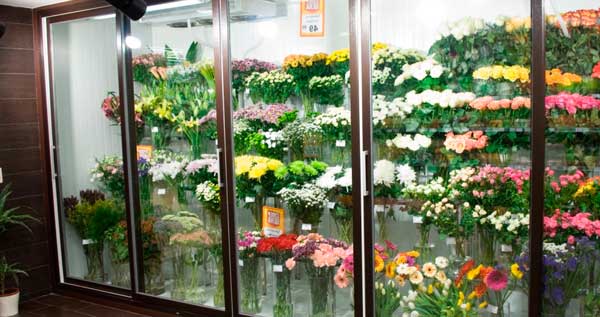 Раздвижные холодильники для цветов